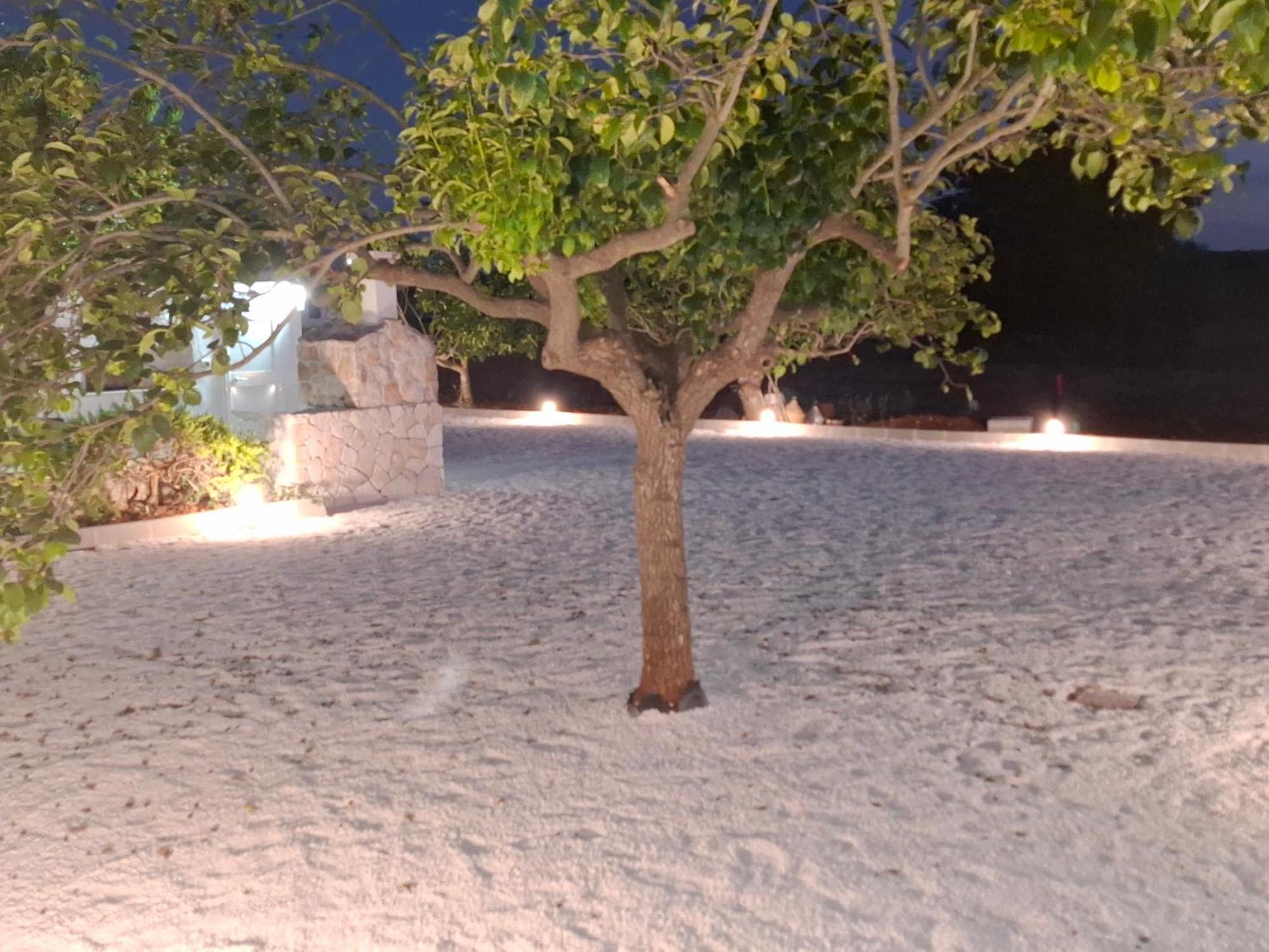 Trulli Di Nonna Marietta Villa Martina Franca Exteriör bild